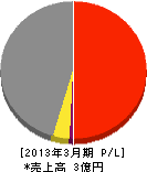 渡辺工業所 損益計算書 2013年3月期
