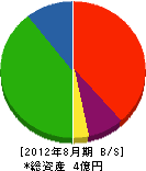 丸澤組 貸借対照表 2012年8月期