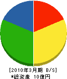 柳澤建設 貸借対照表 2010年3月期
