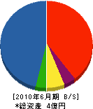 佐藤工務店 貸借対照表 2010年6月期
