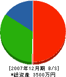 渡邉水道 貸借対照表 2007年12月期