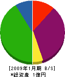 青山塗装工業 貸借対照表 2009年1月期