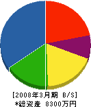 小川設備工業 貸借対照表 2008年3月期