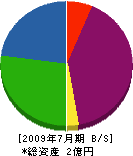 川崎電業 貸借対照表 2009年7月期