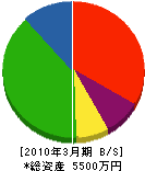 江口工芸社 貸借対照表 2010年3月期