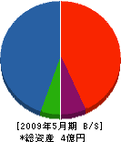 木村工務店 貸借対照表 2009年5月期