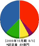 大宝柊木 貸借対照表 2008年10月期