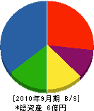 丸勝工務店 貸借対照表 2010年9月期