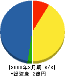 坂井建設 貸借対照表 2008年3月期