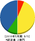 上野山組 貸借対照表 2010年5月期