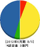 隅田組 貸借対照表 2012年6月期