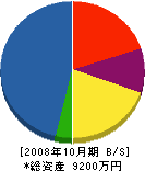 羽根建設興業 貸借対照表 2008年10月期