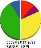 中沢組 貸借対照表 2008年3月期