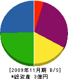 九州グラウト 貸借対照表 2009年11月期
