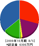 佐藤建築 貸借対照表 2008年10月期