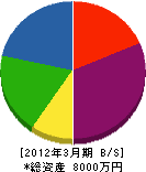 片岡電気工事 貸借対照表 2012年3月期