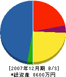 永川組 貸借対照表 2007年12月期