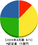 高田電設 貸借対照表 2009年4月期