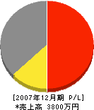 朝日工業 損益計算書 2007年12月期