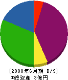 松浦組 貸借対照表 2008年6月期