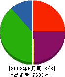 武原電気工事社 貸借対照表 2009年6月期