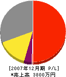平山総合 損益計算書 2007年12月期