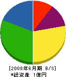 江田特殊防水工業 貸借対照表 2008年6月期