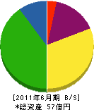 奈良県中和営繕 貸借対照表 2011年6月期