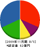 渡辺組 貸借対照表 2009年11月期