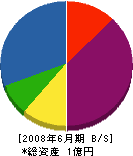 長江水道 貸借対照表 2008年6月期
