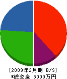 真嶋硝子店 貸借対照表 2009年2月期