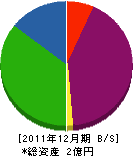 長谷川製材所 貸借対照表 2011年12月期