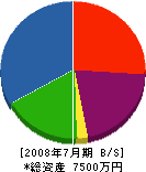 松岡組 貸借対照表 2008年7月期