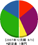 斎元組 貸借対照表 2007年12月期
