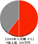 田村建設工業 損益計算書 2009年12月期