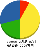 藤元庭園 貸借対照表 2009年12月期