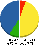 渡辺鑿泉工業 貸借対照表 2007年12月期