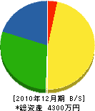 来島鉄工 貸借対照表 2010年12月期