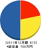 森田塗装店 貸借対照表 2011年12月期