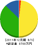 丸山畳店 貸借対照表 2011年12月期