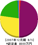 戸田組 貸借対照表 2007年12月期