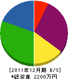 石野電機商会 貸借対照表 2011年12月期