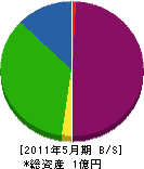 伊豆美掃 貸借対照表 2011年5月期