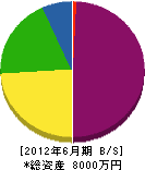 中塚建設 貸借対照表 2012年6月期