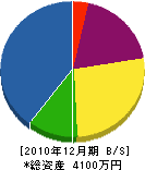 内田電気 貸借対照表 2010年12月期