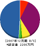 高松緑地管理 貸借対照表 2007年12月期