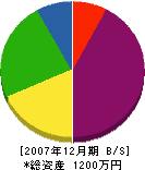 岡田建設 貸借対照表 2007年12月期