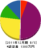 長谷川商店 貸借対照表 2011年12月期