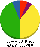 ヤマガ電業 貸借対照表 2009年12月期