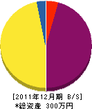 渋谷建設 貸借対照表 2011年12月期